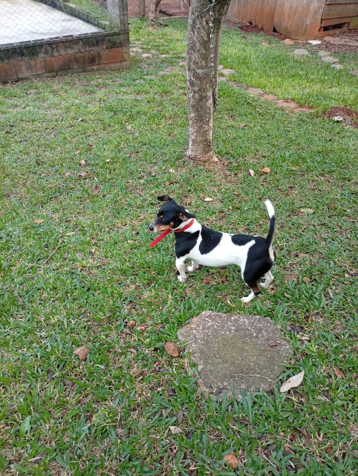Princesa